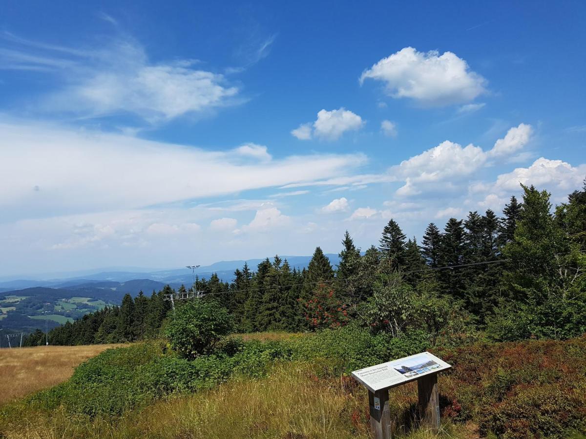 Traumurlaub Im Bayerische Wald ซังคท์แองเกลอมาร์ ภายนอก รูปภาพ