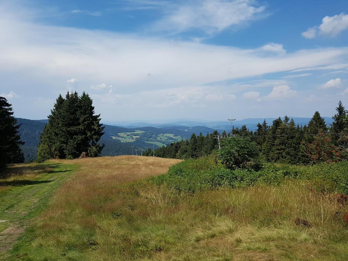 Traumurlaub Im Bayerische Wald ซังคท์แองเกลอมาร์ ภายนอก รูปภาพ